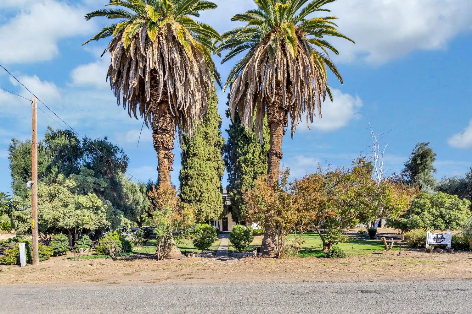 Almond Ave, Arbuckle, California image 9