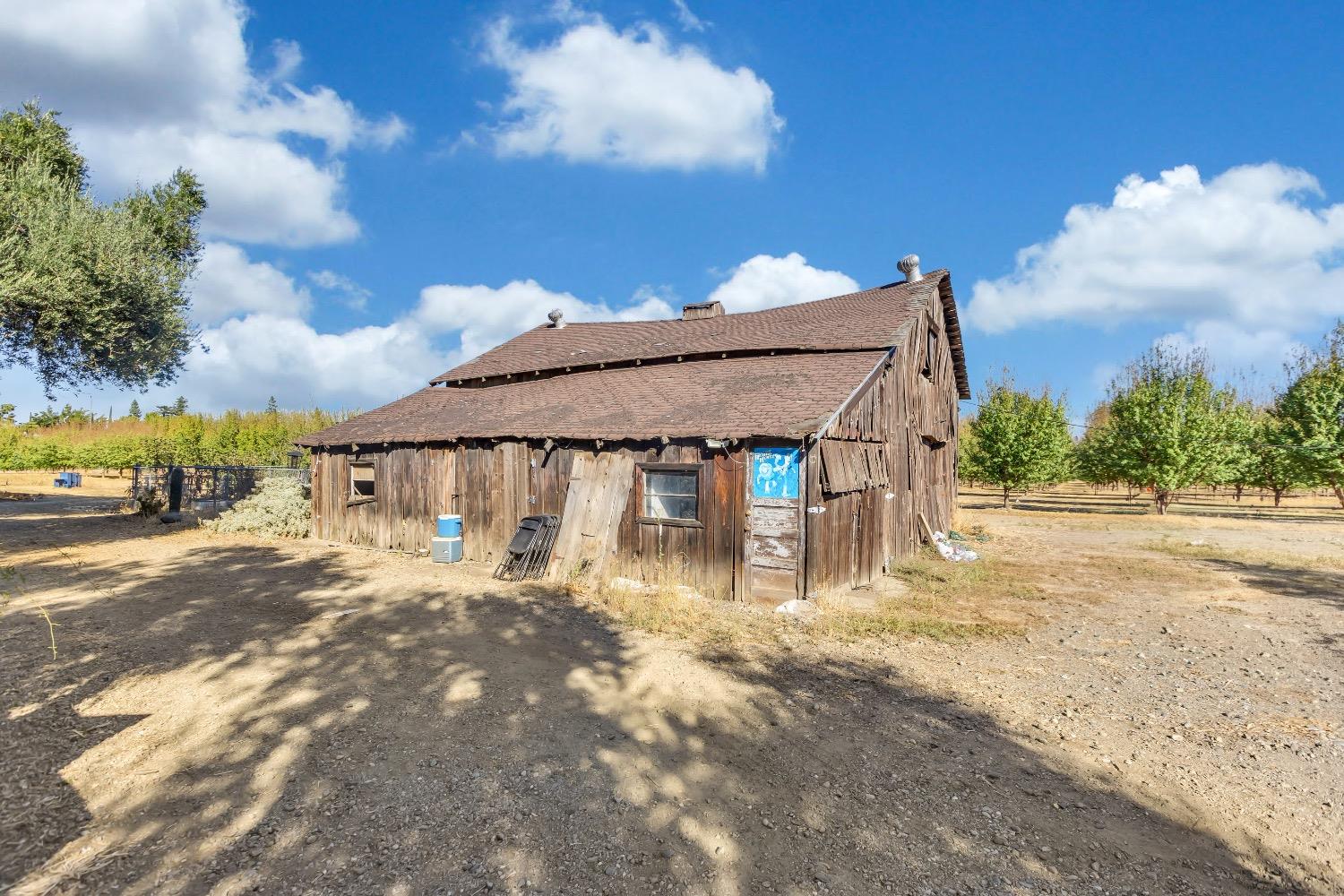 Almond Ave, Arbuckle, California image 36