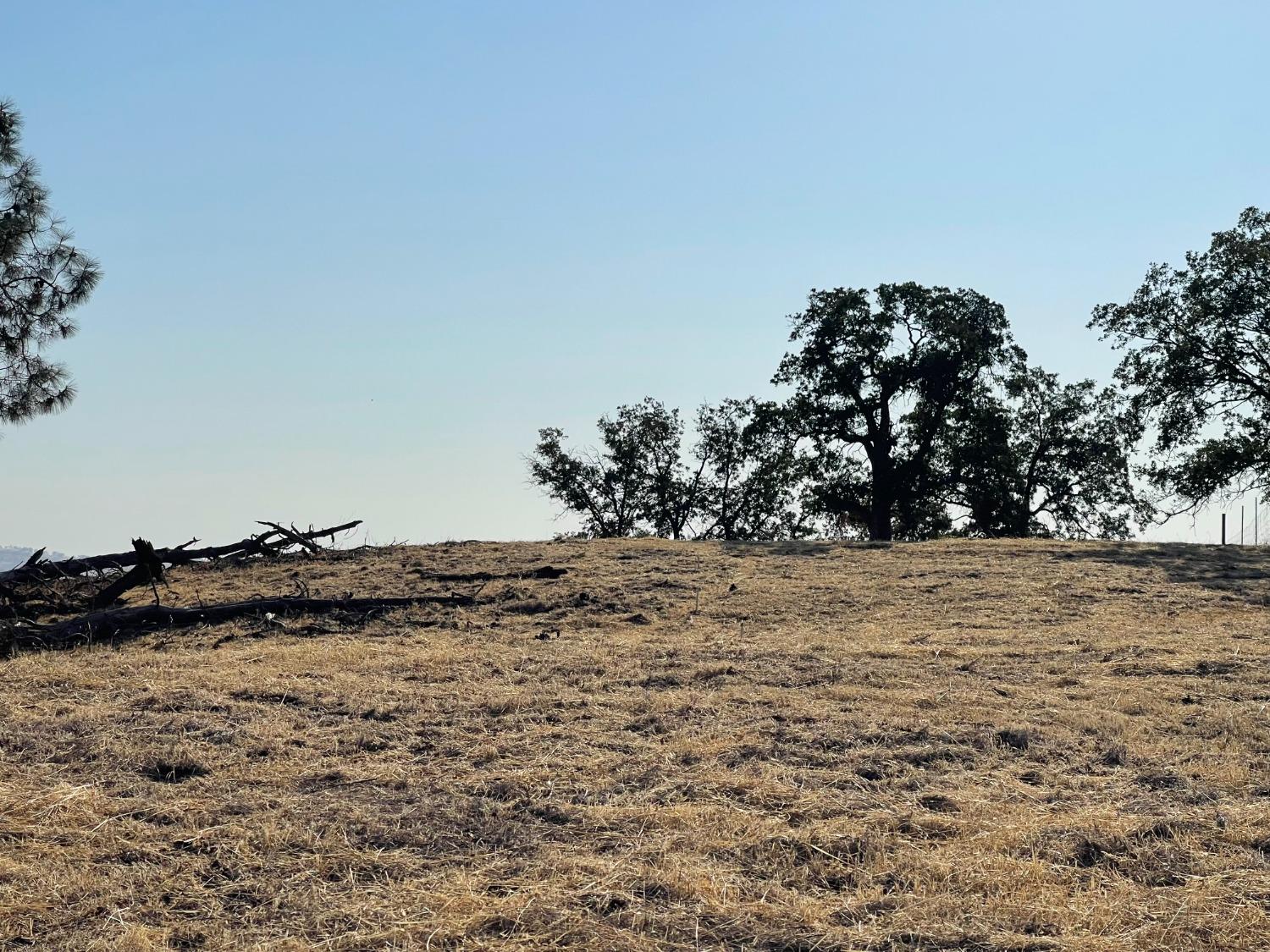 Arbolada, La Grange, California image 8