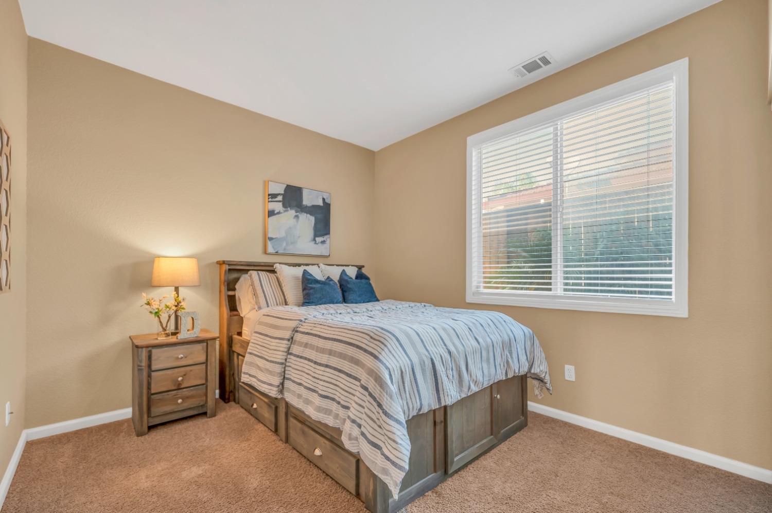 Mount Conness Court, Antioch, California image 29