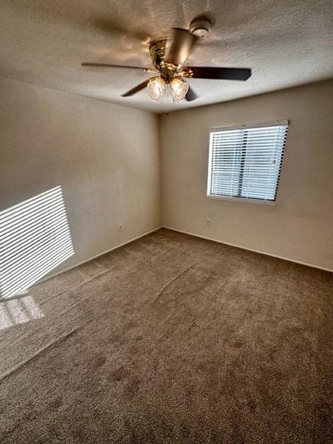 Photo #20: 223102662 Listing: Photo #20