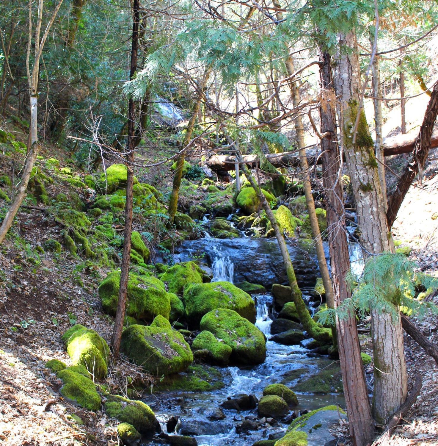 Noatak Canyon Way, Grass Valley, California image 6