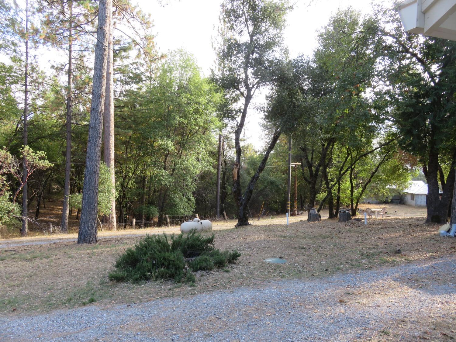 N Railroad Flat Road, Wilseyville, California image 18