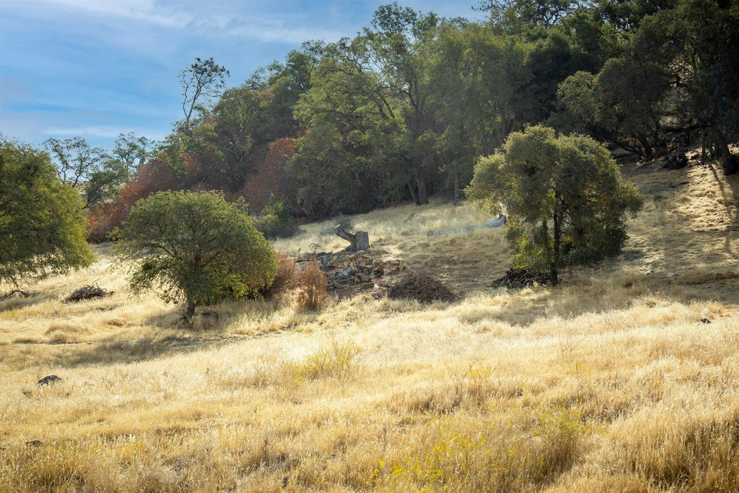 Cosgrove Creek Road, Valley Springs, California image 16