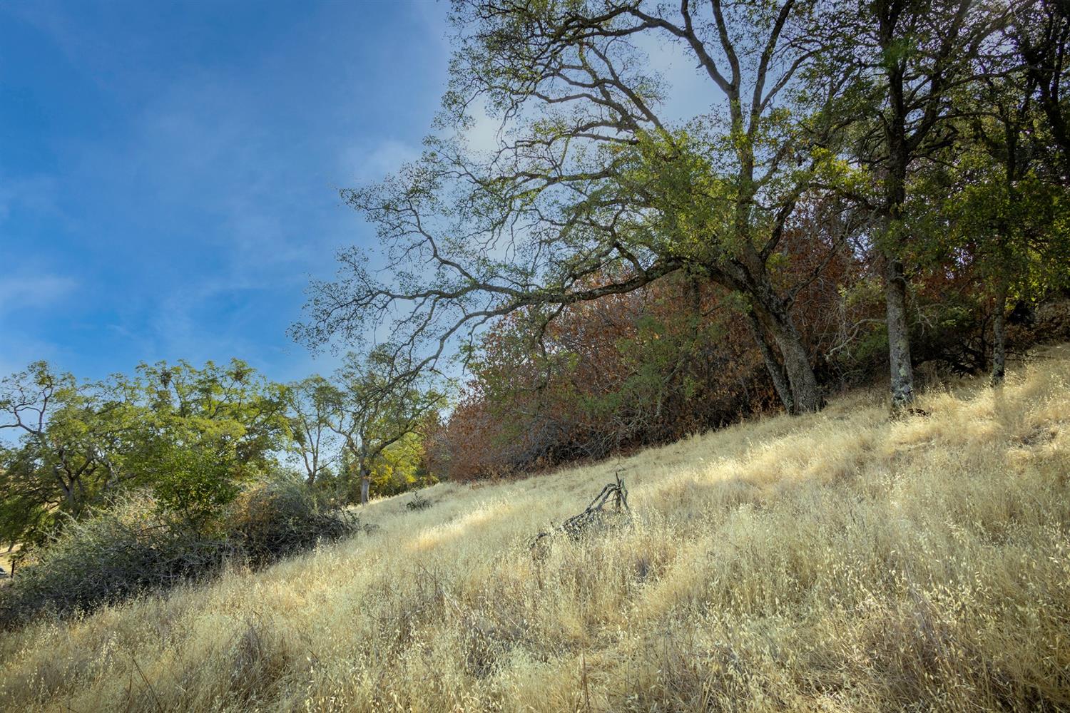 Cosgrove Creek Road, Valley Springs, California image 42