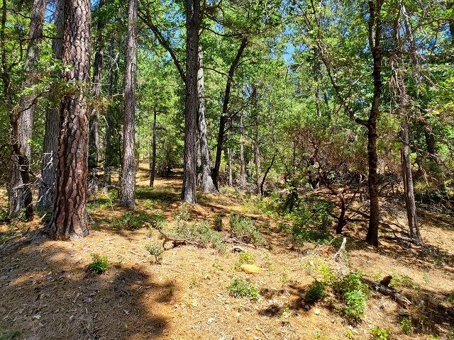 14425 Old White Toll Road, Grass Valley, California image 6