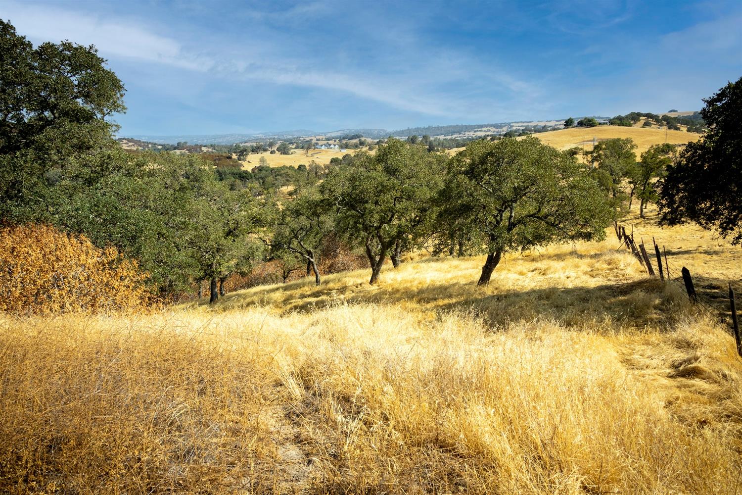 Cosgrove Creek Road, Valley Springs, California image 18