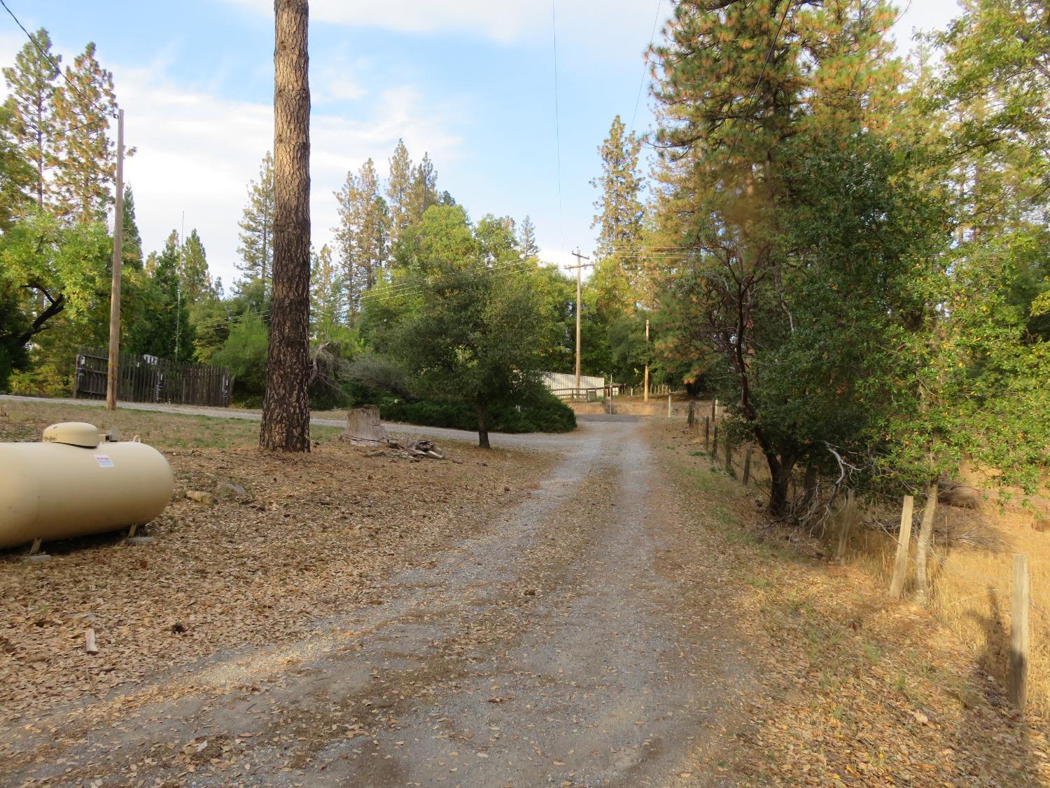 N Railroad Flat Road, Wilseyville, California image 21