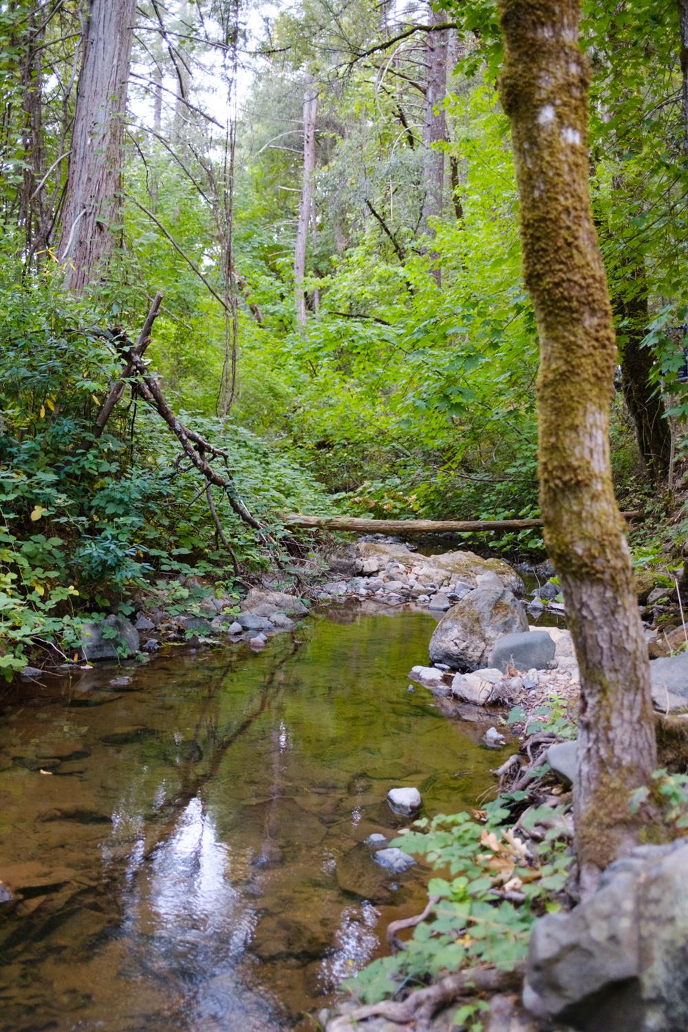 Noatak Canyon Way, Grass Valley, California image 5