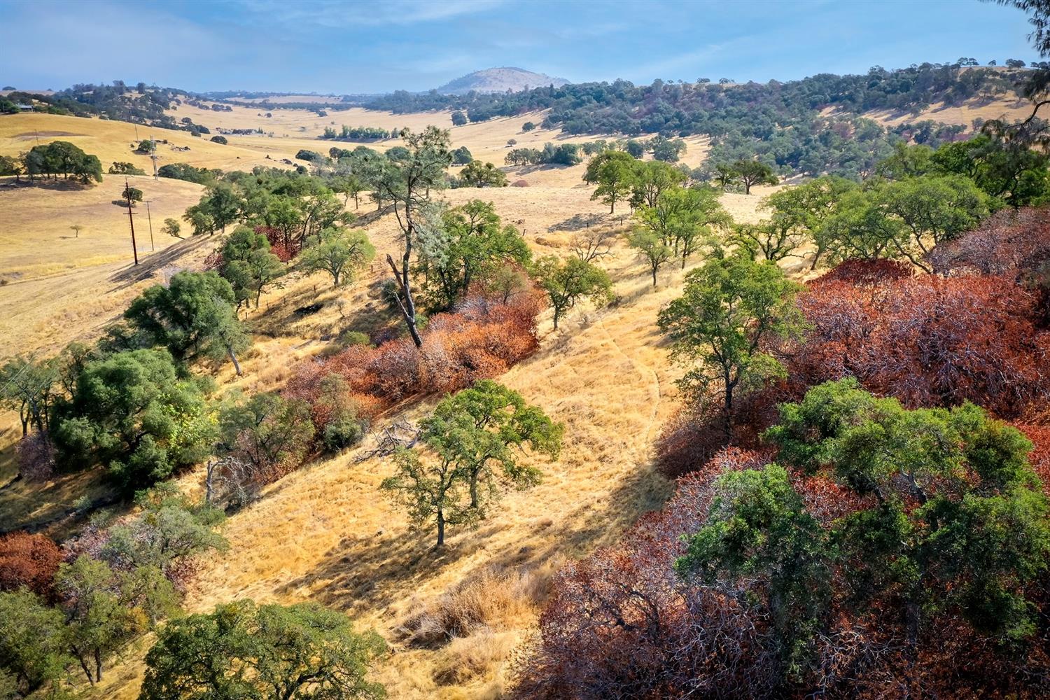 Cosgrove Creek Road, Valley Springs, California image 21