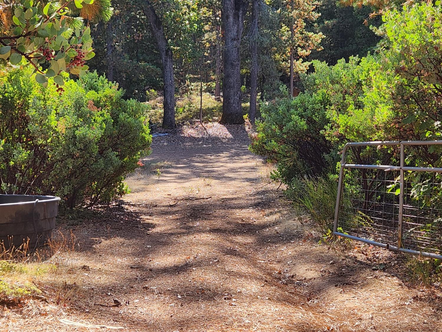Photo of Top Of Shoemaker in Georgetown, CA