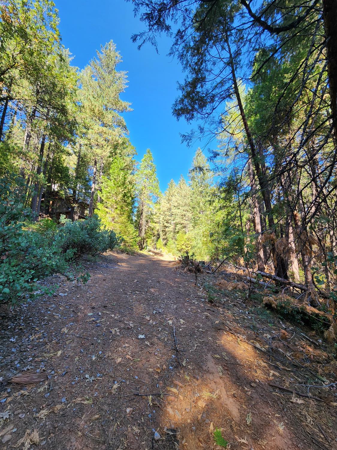 Top Of Shoemaker, Georgetown, California image 25