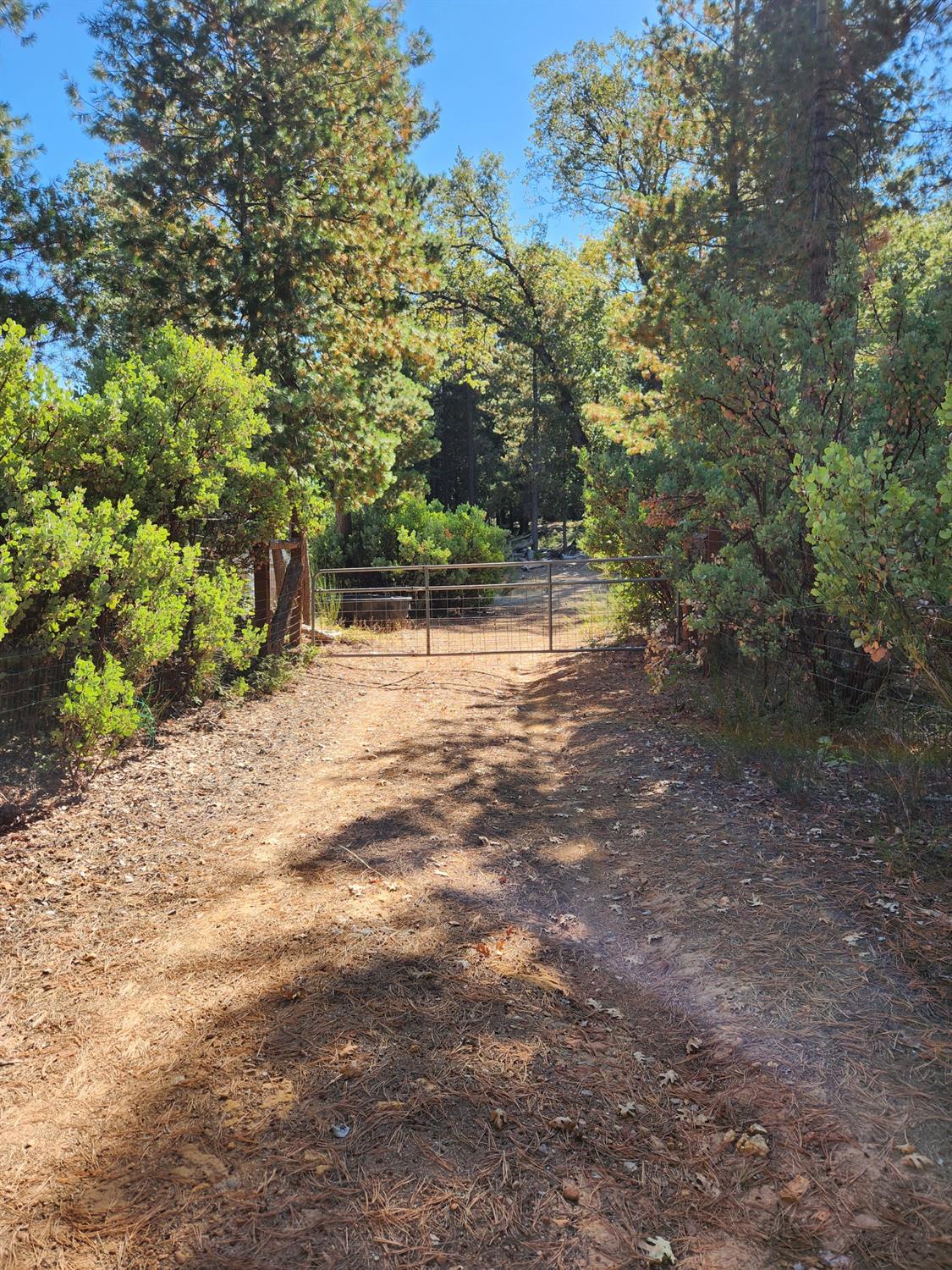 Top Of Shoemaker, Georgetown, California image 47