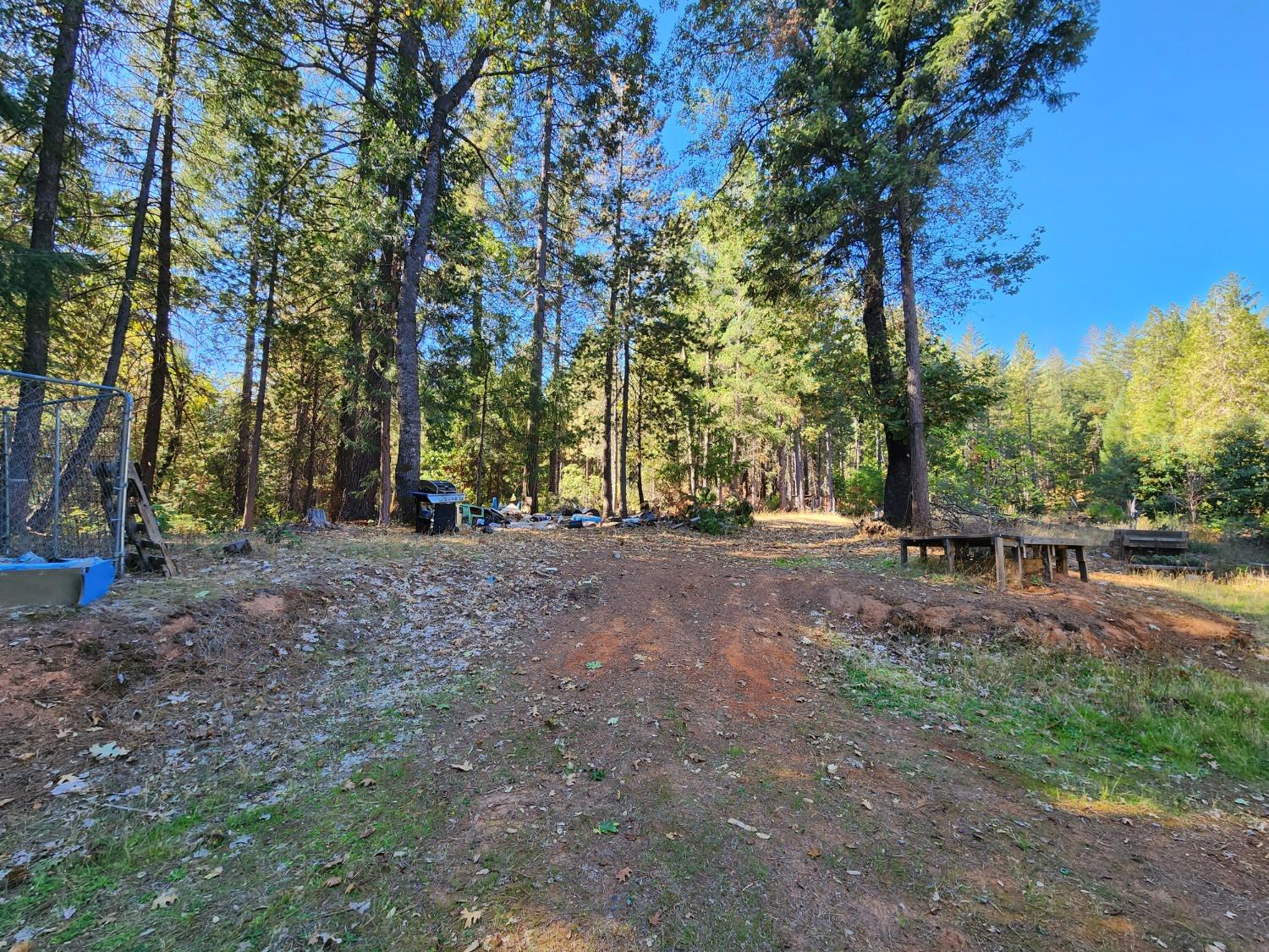 Top Of Shoemaker, Georgetown, California image 10