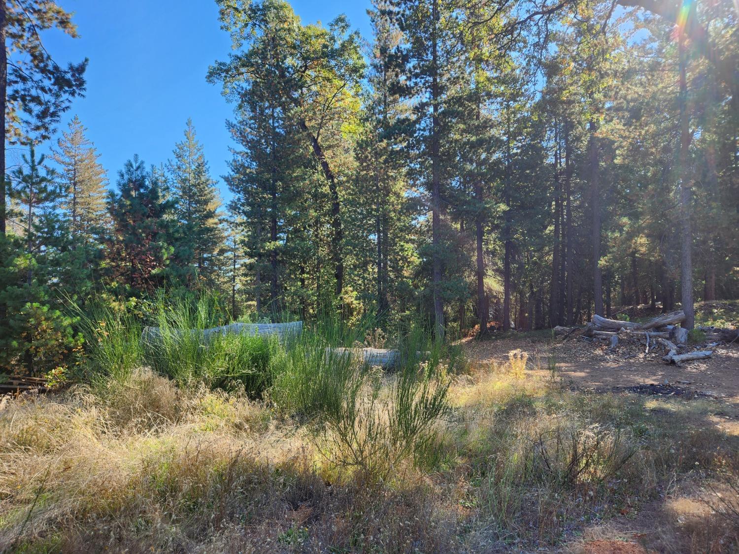 Top Of Shoemaker, Georgetown, California image 6