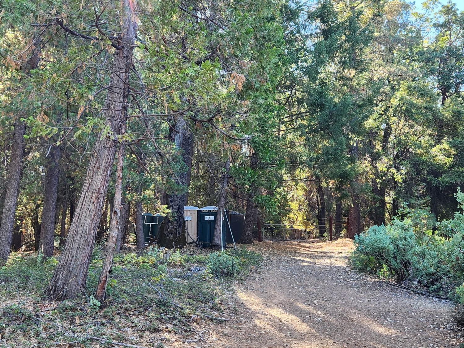 Top Of Shoemaker, Georgetown, California image 36