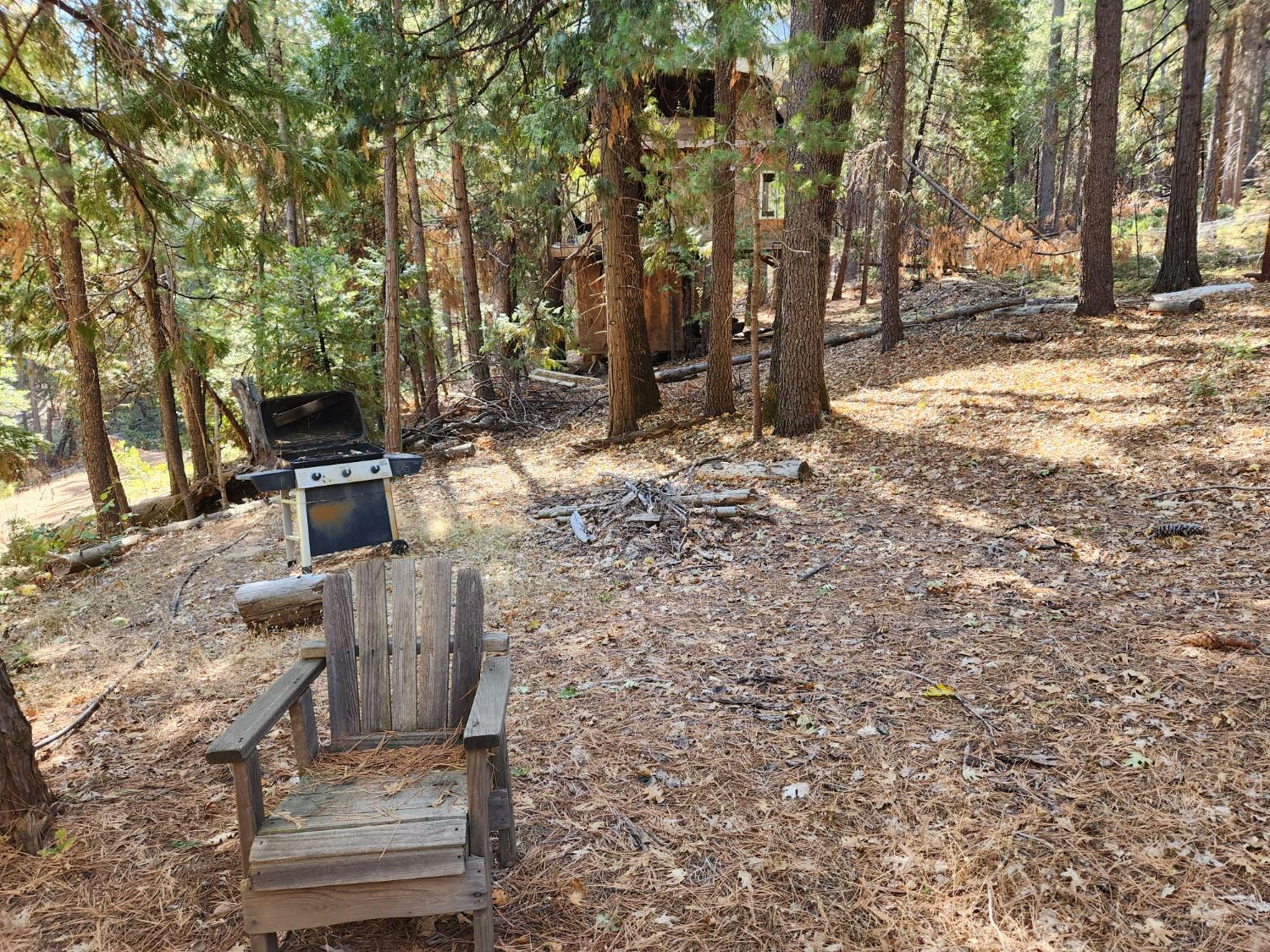 Top Of Shoemaker, Georgetown, California image 26