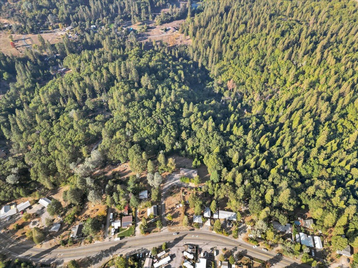 Rough And Ready Highway, Grass Valley, California image 19