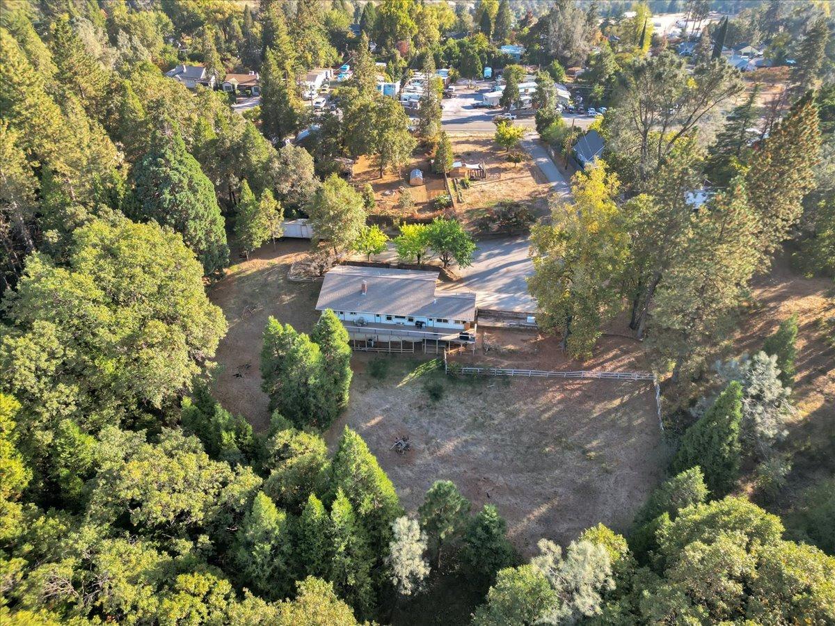 Rough And Ready Highway, Grass Valley, California image 18