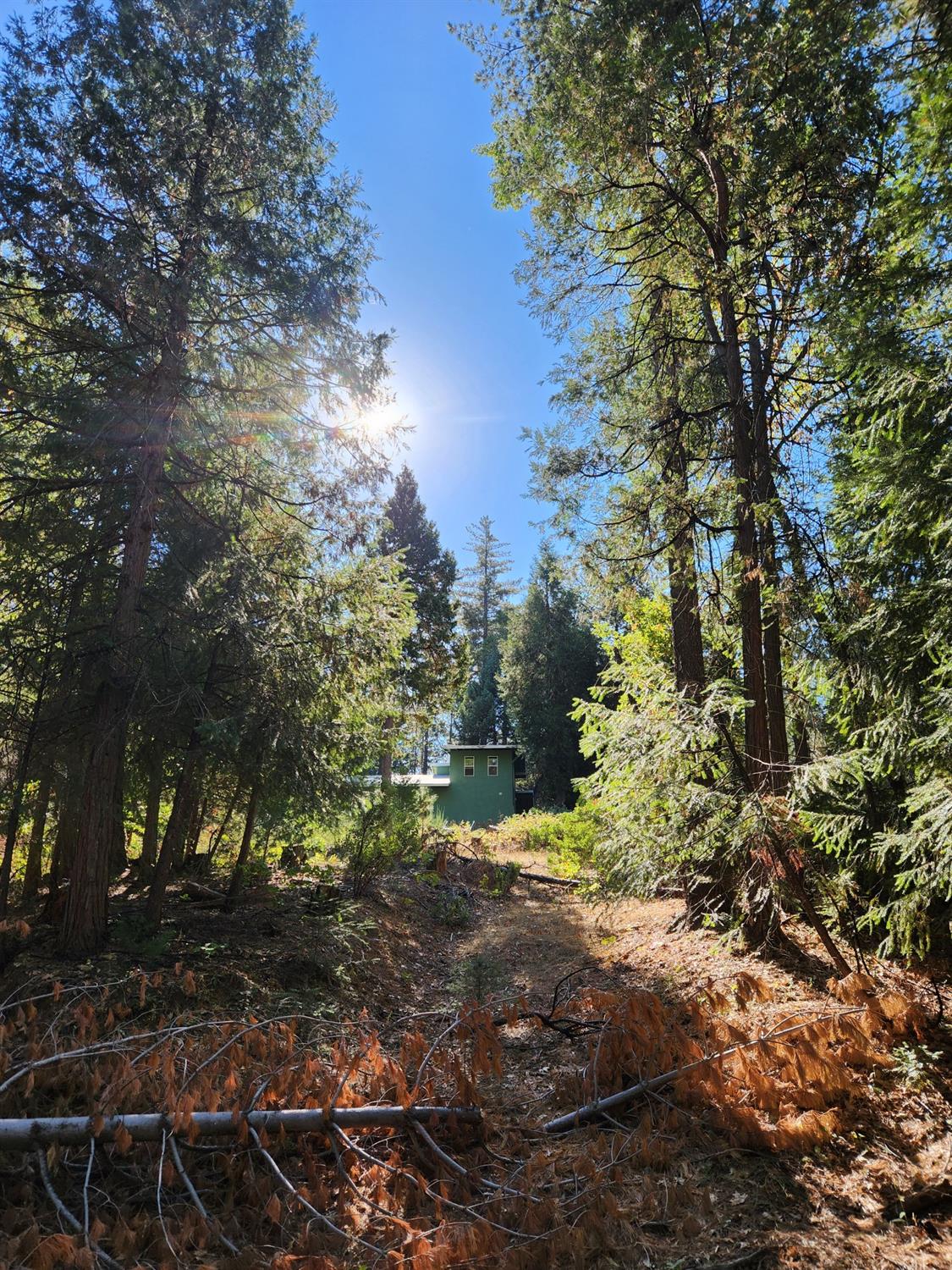 Top Of Shoemaker, Georgetown, California image 46