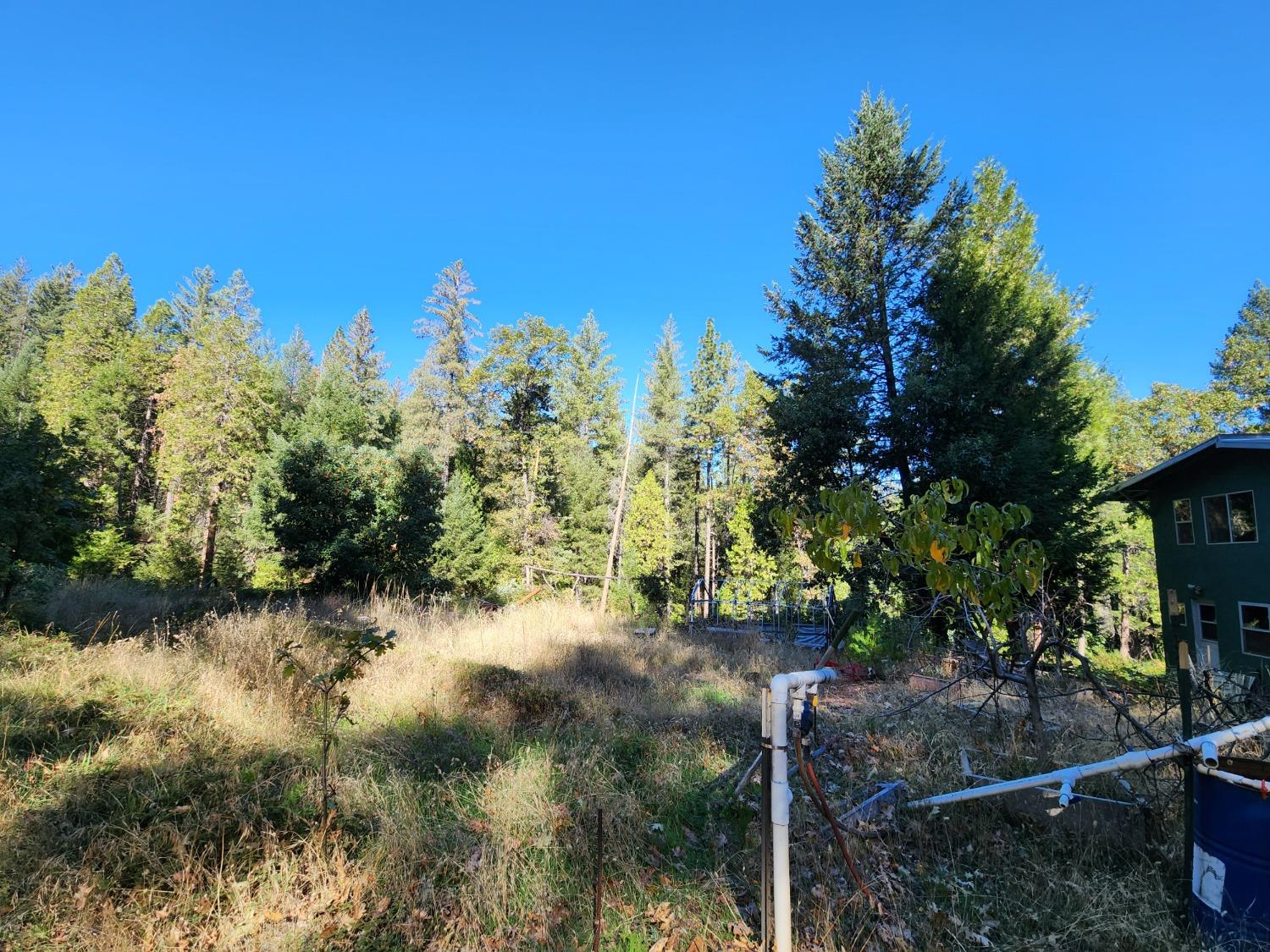 Top Of Shoemaker, Georgetown, California image 20