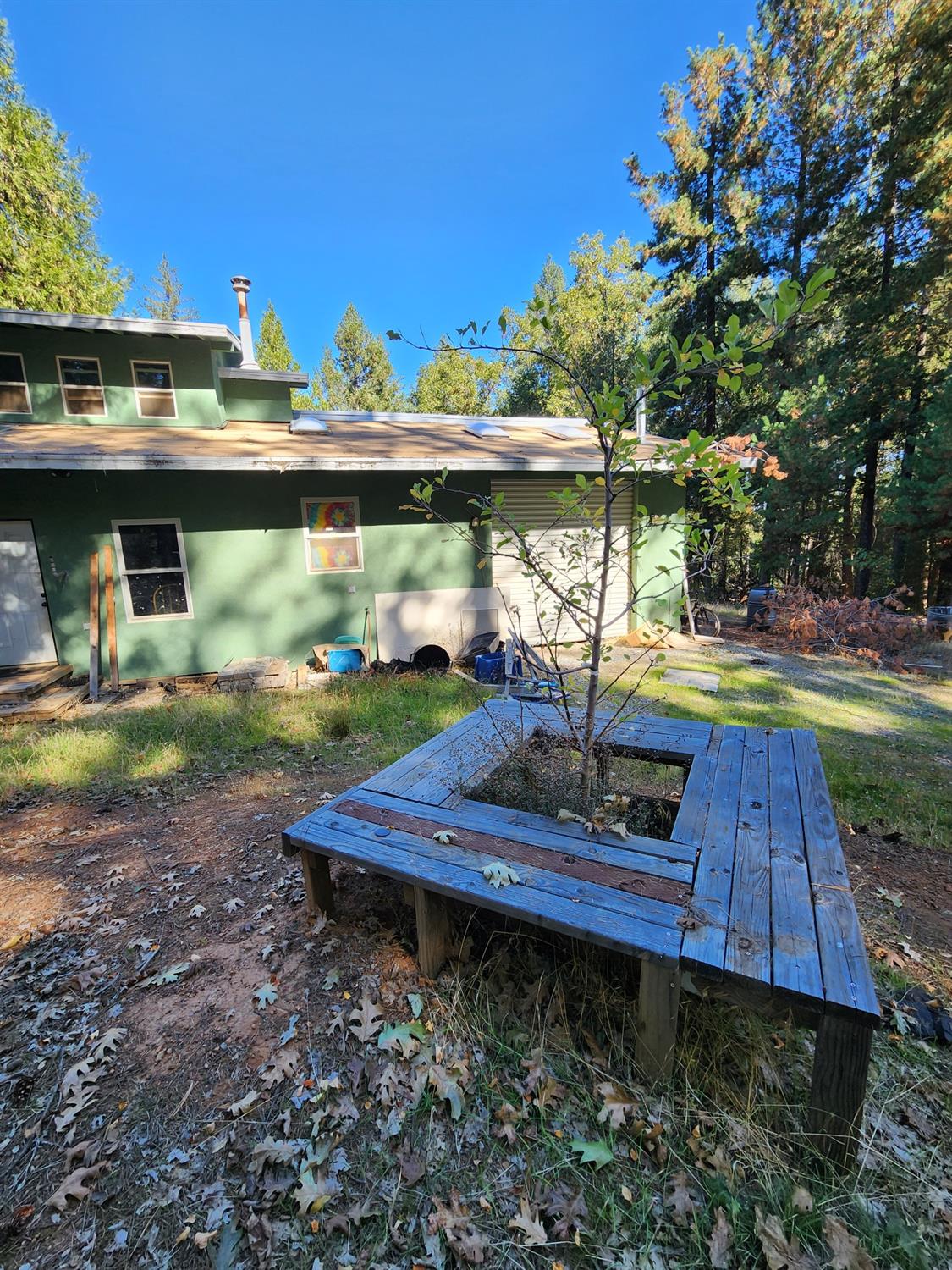 Top Of Shoemaker, Georgetown, California image 12
