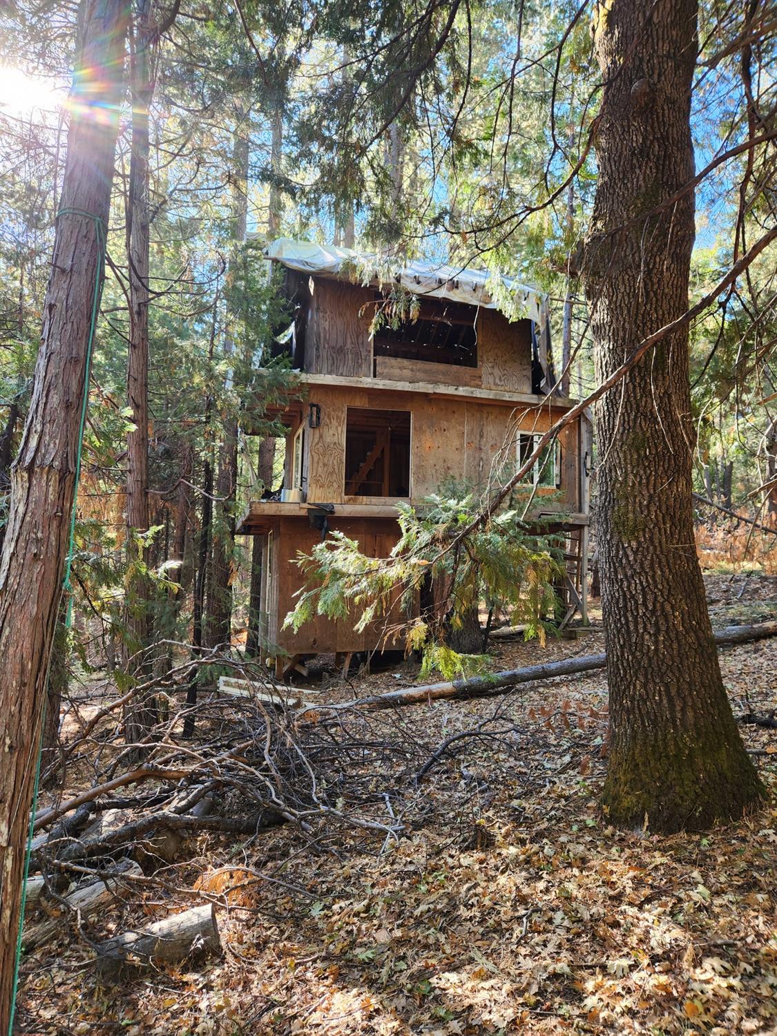 Top Of Shoemaker, Georgetown, California image 27