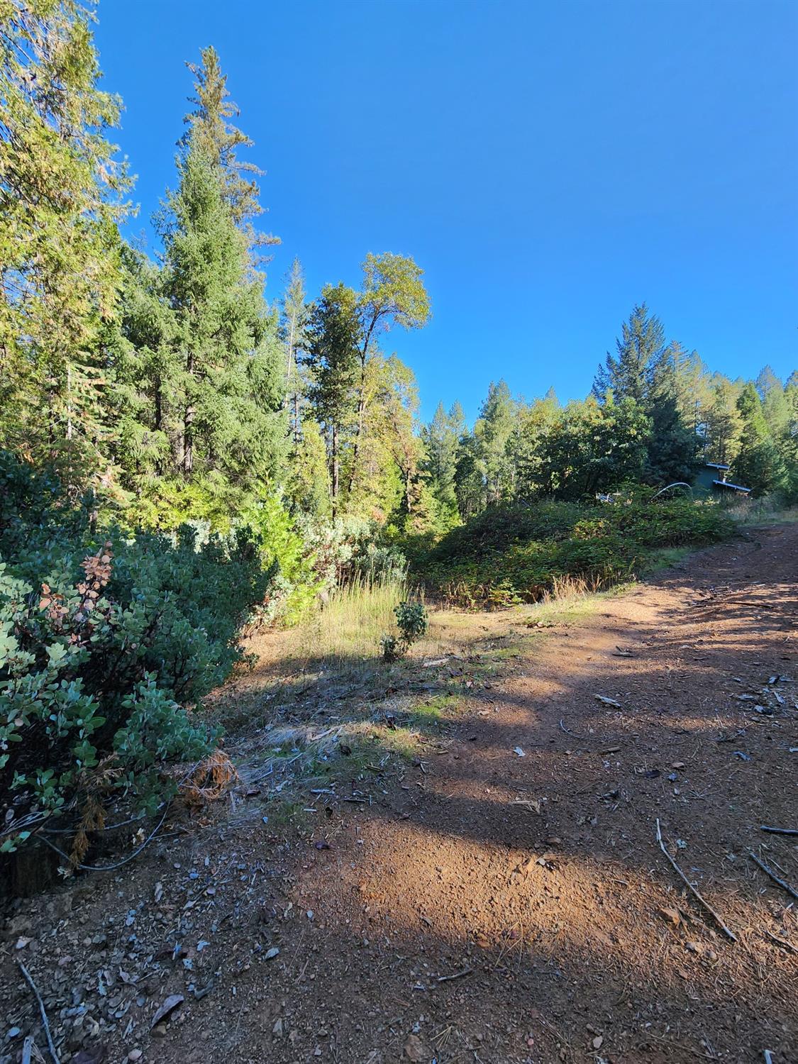 Top Of Shoemaker, Georgetown, California image 24