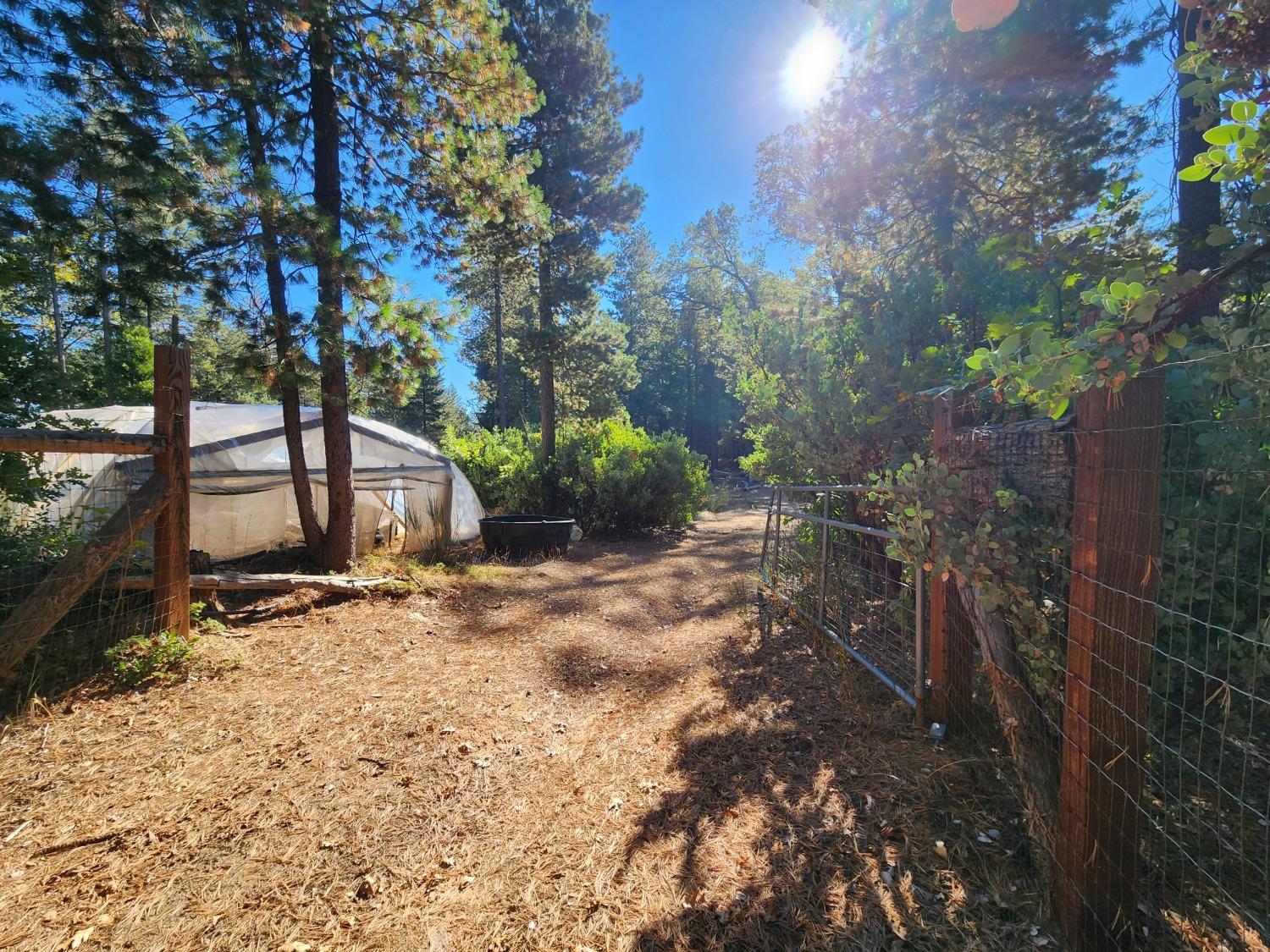 Top Of Shoemaker, Georgetown, California image 4