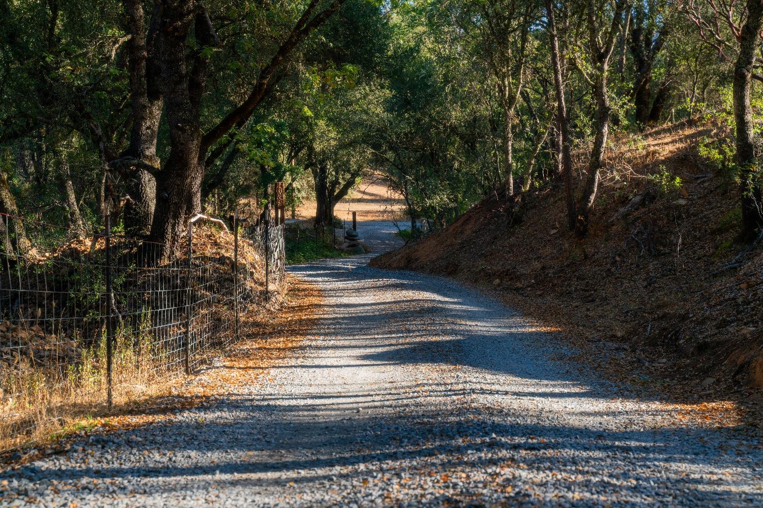 Heavens Gate Road, Lotus, California image 4