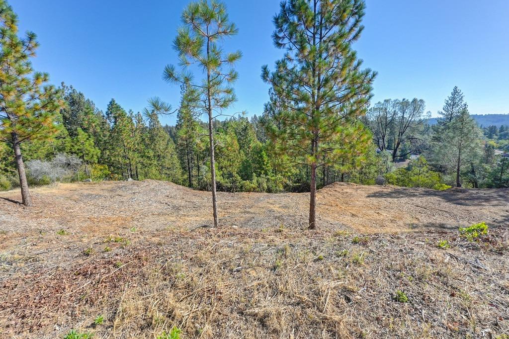 Detail Gallery Image 2 of 7 For 2611 Kereka Ct, Placerville,  CA 95667 - – Beds | – Baths