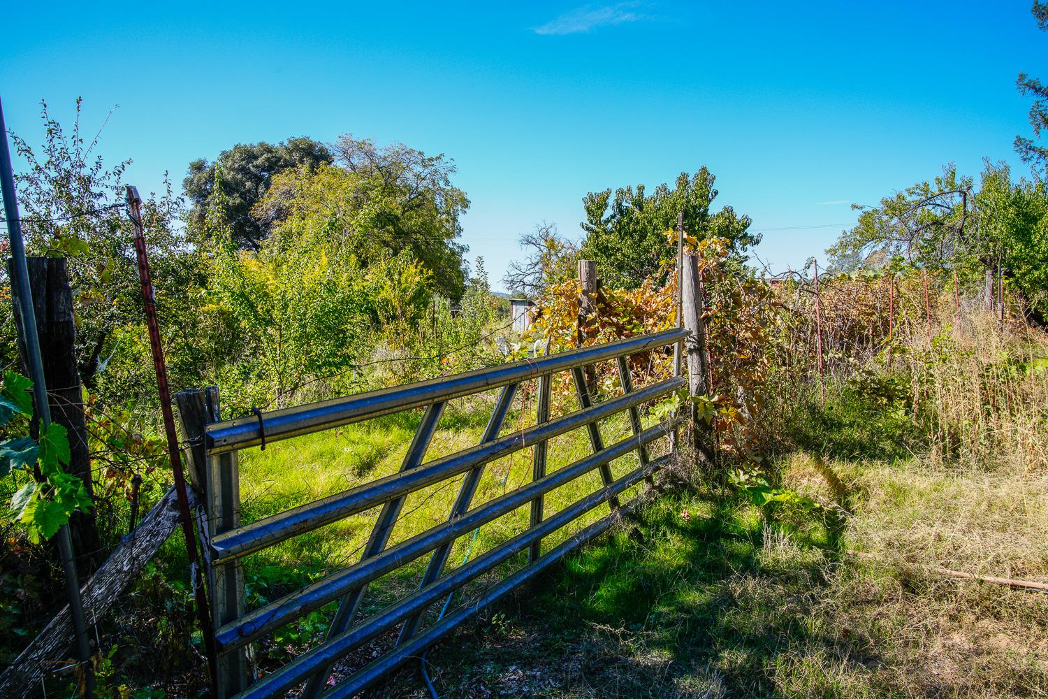 La Porte Road, Rackerby, California image 17