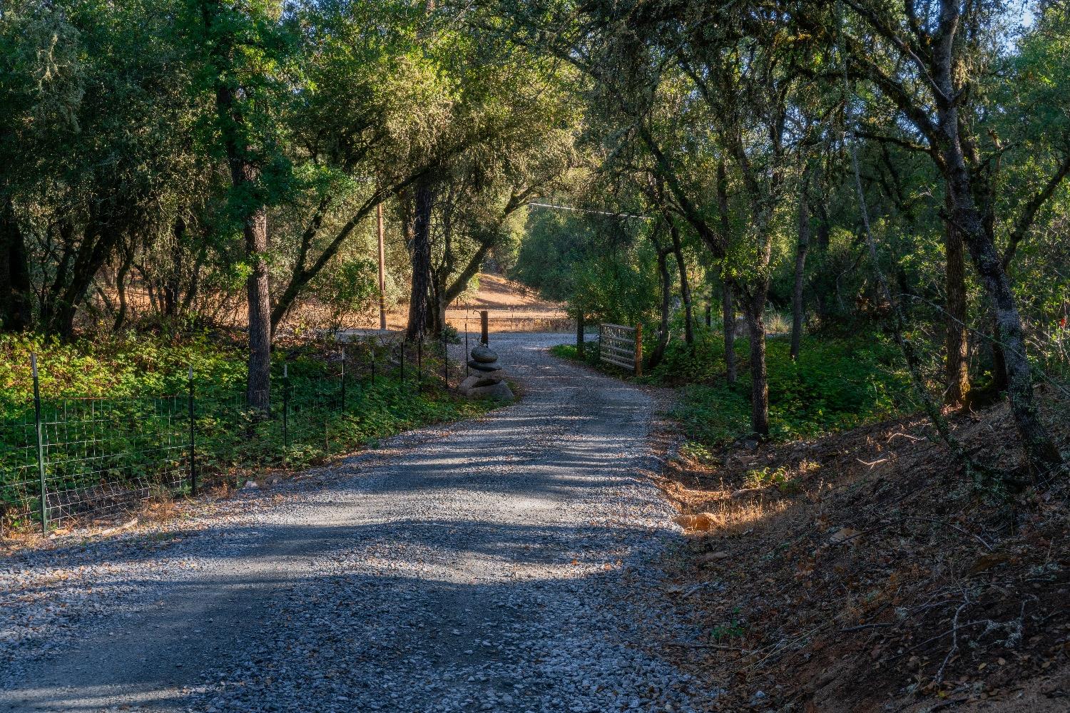 Heavens Gate Road, Lotus, California image 5