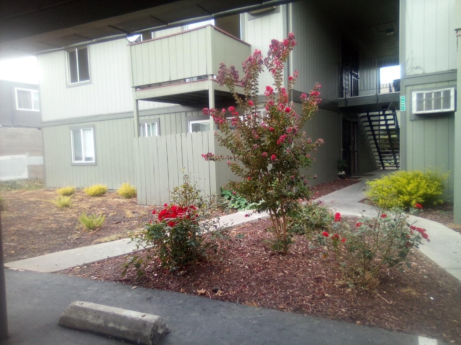 Photo of 1133 Meadow Ln #55 in Concord, CA