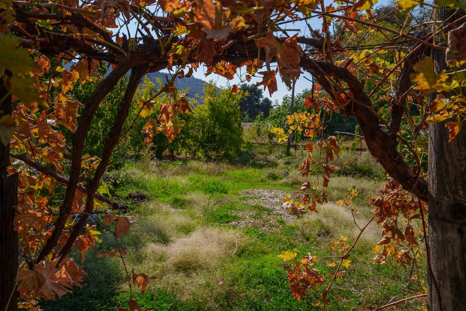 La Porte Road, Rackerby, California image 47