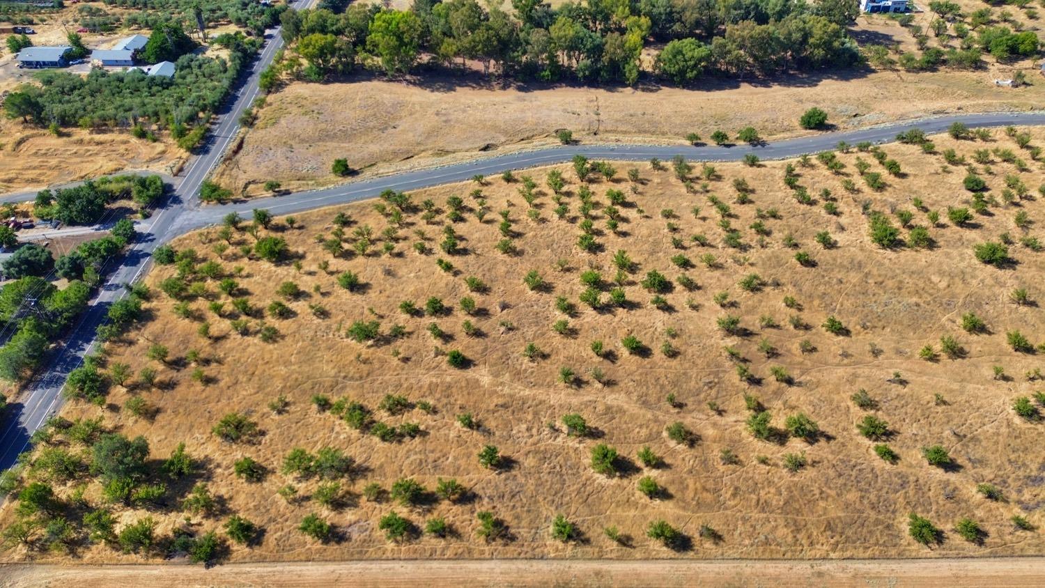 County Road 85b, Esparto, California image 8