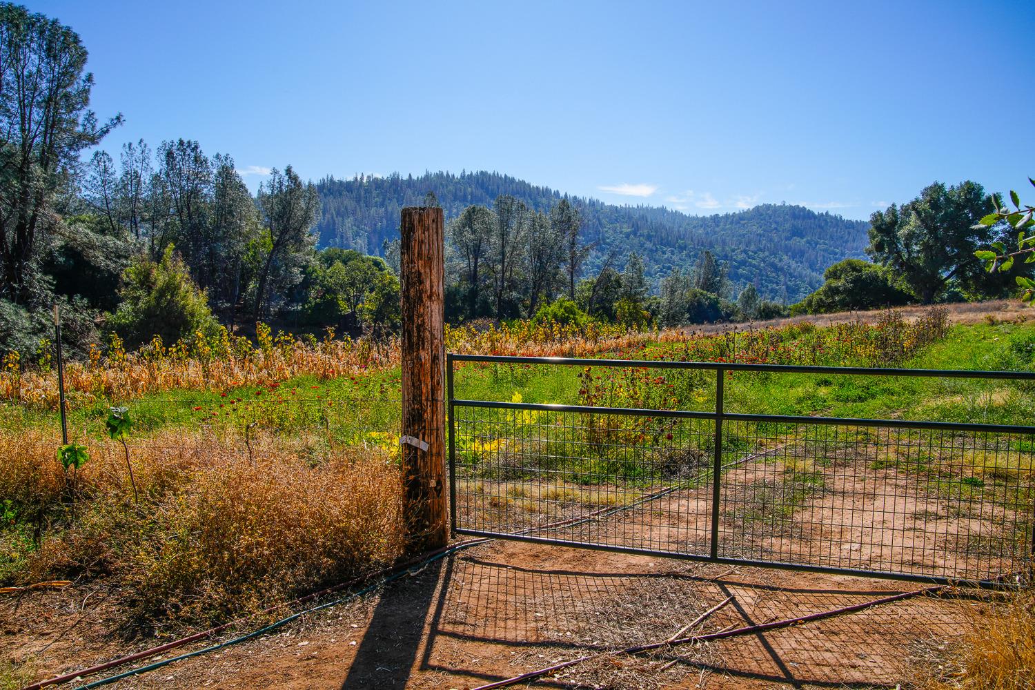 La Porte Road, Rackerby, California image 10