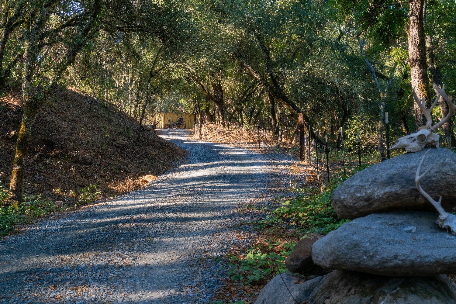 Heavens Gate Road, Lotus, California image 1