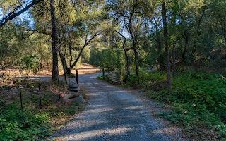 Heavens Gate Road, Lotus, California image 6