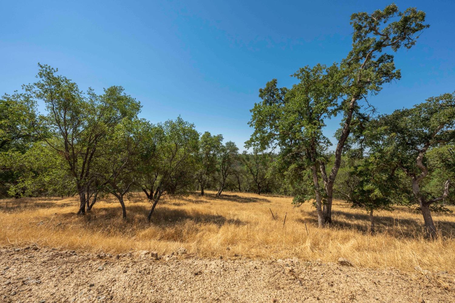 Western Sierra Way, El Dorado Hills, California image 15