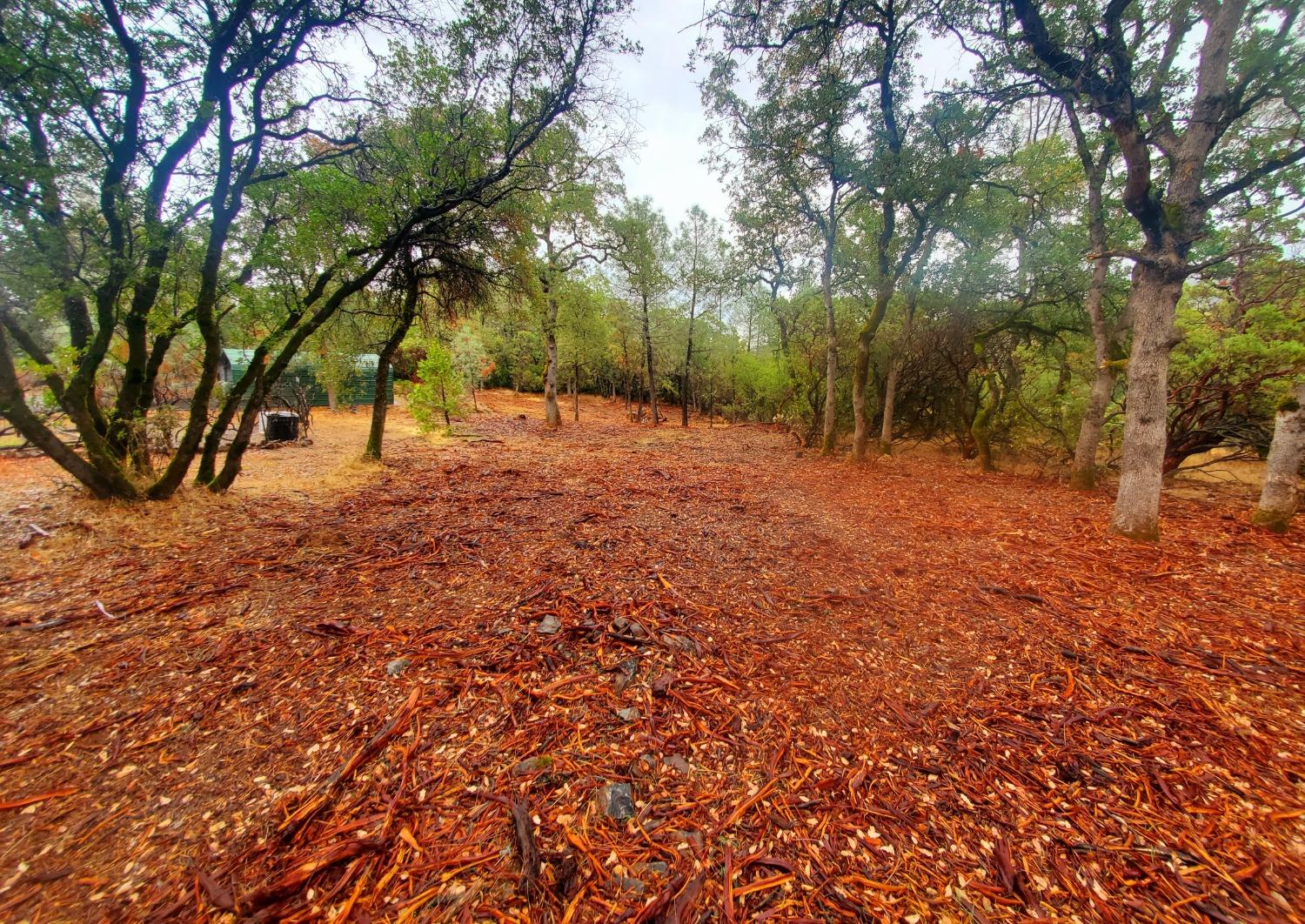 Detail Gallery Image 34 of 36 For 141 Eagle Vista Dr, Oroville,  CA 95966 - 3 Beds | 2/1 Baths