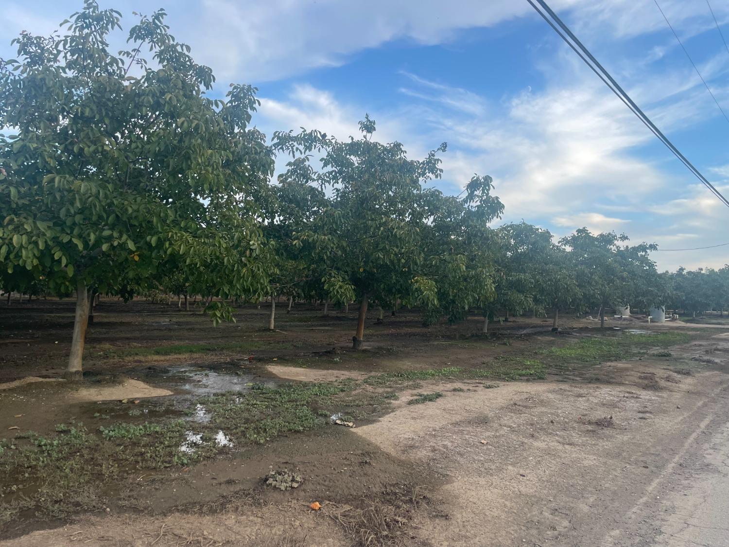 Railroad Avenue Avenue, Yuba City, California image 5