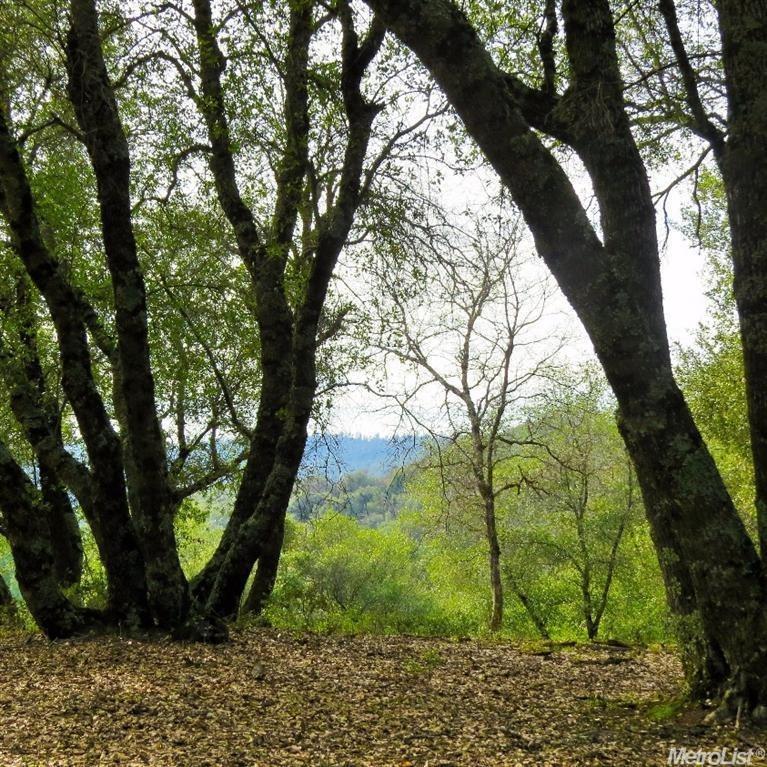 Photo of Devon Ct in Auburn, CA