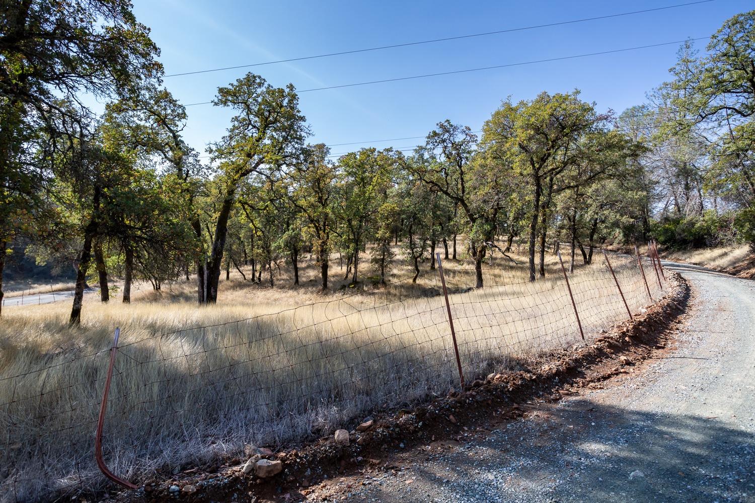 Mount Murphy Road, Garden Valley, California image 28