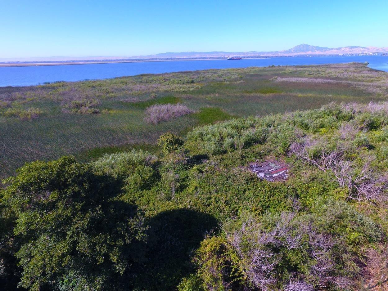 Sherman Island East Levee Rd, Rio Vista, California image 7