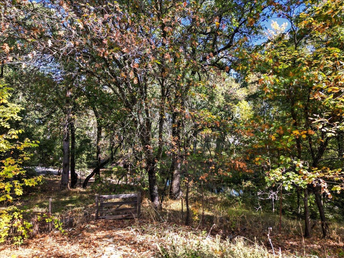 Country Lane, Penn Valley, California image 17