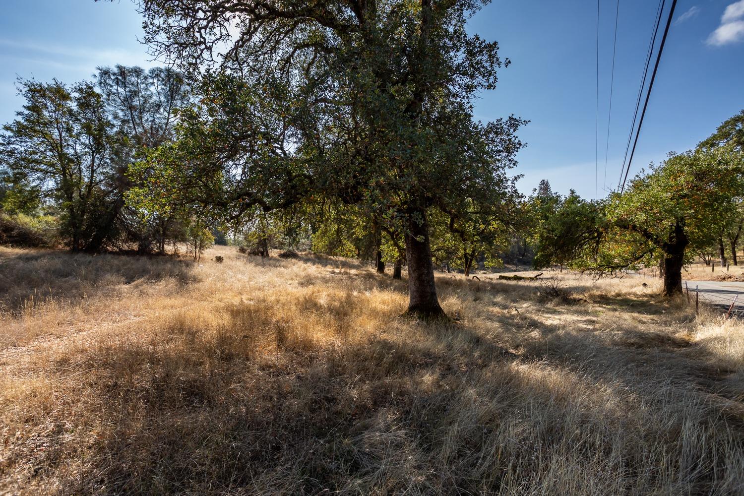 Mount Murphy Road, Garden Valley, California image 30