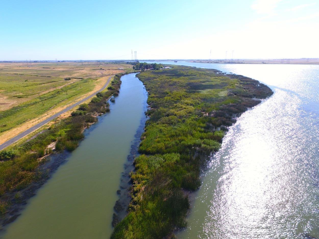 Sherman Island East Levee Rd, Rio Vista, California image 10