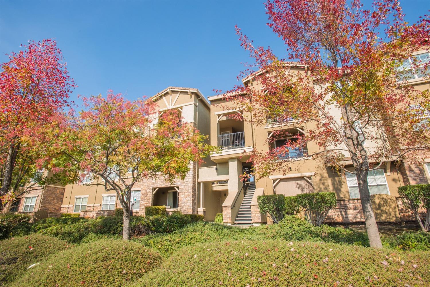 Photo #29: 223103885 Listing: Photo #29