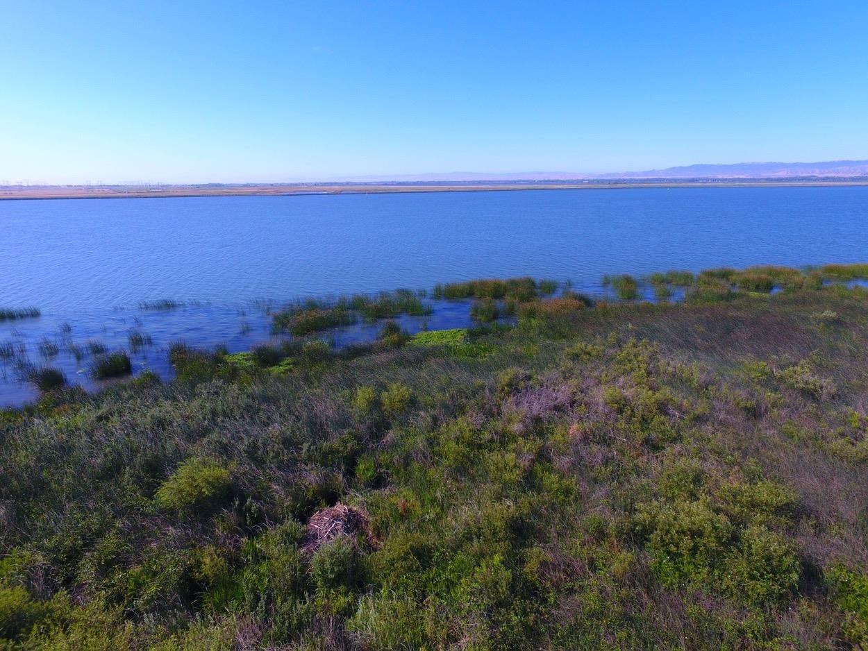 Sherman Island East Levee Rd, Rio Vista, California image 5